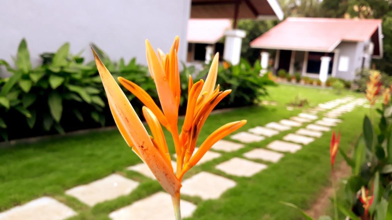Arcadia Resort Alibaug Alībāg Εξωτερικό φωτογραφία